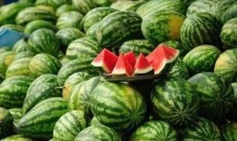 吃瓜买了个瓜,一场意外的“瓜”之旅