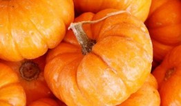 吃瓜人南瓜仁,揭秘瓜界新宠的甜蜜诱惑