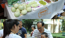 乐平雪梨瓜怎么吃,多汁美味，多样食法体验