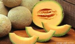 吃哈密瓜后咳,揭秘甜蜜背后的健康隐患