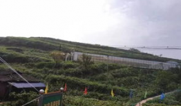 范县吃瓜事件,一场引发社会热议的网络风波