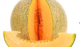 吃哈密瓜牙出血