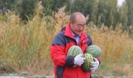 村干部吃瓜,揭秘农村基层干部的日常生活