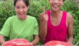 西瓜竞速大赛吃瓜,速度与激情的瓜果盛宴