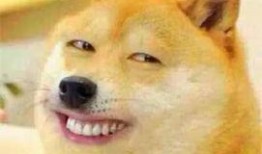 楼上的老李吃瓜,揭秘邻里间的趣味生活瞬间