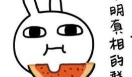 卖货吃瓜搞笑,搞笑日常乐翻天