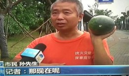 普宁热门吃瓜事件,最新吃瓜事件揭秘，真相背后引网友热议