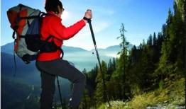 爬山吃瓜女游客,爬山吃瓜女游客的趣味探险记