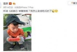 叶问蹲吃瓜,揭秘一代宗师背后的“吃瓜”故事