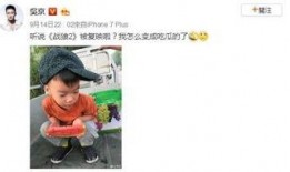 叶问蹲吃瓜,揭秘一代宗师背后的“吃瓜”故事