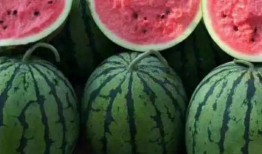 河北吃瓜事件后续,真相发酵，后续影响持续发酵