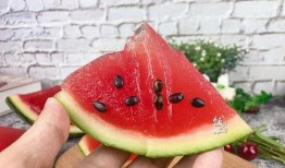 吃瓜加q瓜甜,尽享夏日清凉