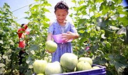 临汾最新吃瓜事件,揭秘网络热议背后的真相