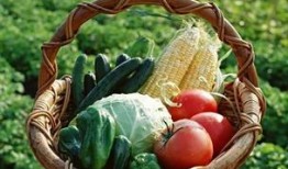 辽宁理工吃瓜群,揭秘校园生活那些事儿