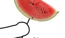 俩人吃瓜图片,揭秘两位吃瓜群众的欢乐瞬间