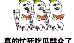怎么幽默形容吃瓜,吃瓜群众的欢乐时光