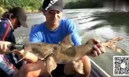 牛魔王吃瓜全集