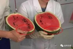 打针前吃瓜,意外发现的健康小秘密