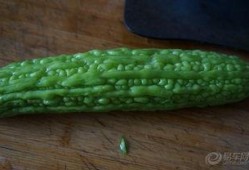 一瓜两吃2019,年度美食盛宴回顾