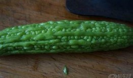 一瓜两吃2019,年度美食盛宴回顾