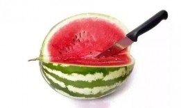 带你们吃高端瓜,带您领略高端瓜果的极致美味