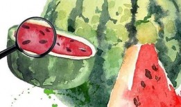 今年吃瓜的感想,笑料百出，感悟人生