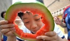 邯郸吃瓜曝光,揭秘背后真相与网络舆论风暴