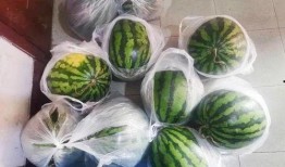 瓜仔鱲怎么吃,解锁海鲜美味新境界