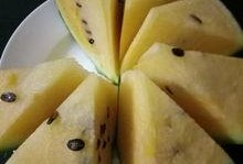 吃瓜论谈,揭秘娱乐圈背后的故事与真相