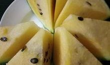 吃瓜论谈,揭秘娱乐圈背后的故事与真相