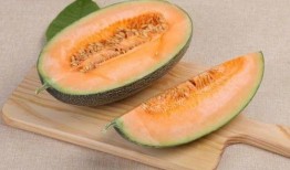 默默吃瓜的配方大全,配方大全解锁美味瓜果新境界