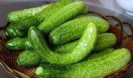 吃瓜乱想,揭秘娱乐圈背后的秘密与真相