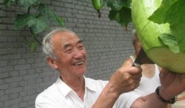 农村吃瓜老人,农村吃瓜老人的悠闲时光