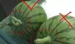 正确吃瓜的方式