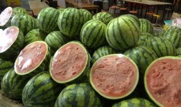 俩人吃瓜图片,揭秘两位吃瓜群众的欢乐瞬间