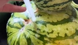 吃瓜搞怪配音,搞怪配音笑翻天