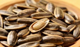 吃大瓜子的瓜,揭秘大瓜子的魅力与传承