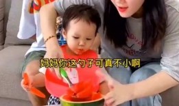 吃瓜老爸小说,揭秘娱乐圈背后的温馨故事