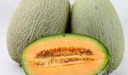 吃哈密瓜大便多,揭秘大便增多之谜