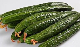 白松瓜怎么吃,探索美味与健康的完美结合