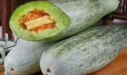 作死队长吃脆瓜,勇吃脆瓜引发网友热议