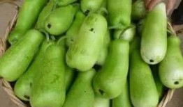 贫血可以吃葫芦瓜嘛,贫血患者的天然补益佳品