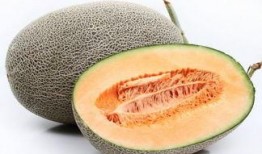 杏和哈密瓜能一起吃