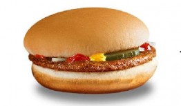 汉堡吃瓜,揭秘现代都市生活新风尚