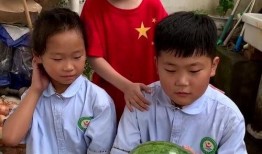 蒙蒙哥吃瓜,揭秘娱乐圈幕后故事