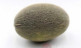 甲虫吃哈密瓜视频,揭秘哈密瓜的天然美味诱惑