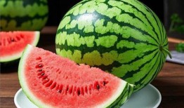 电商吃瓜,揭秘吃瓜群众的狂欢盛宴