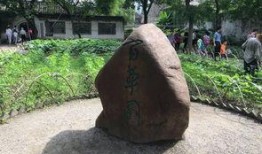 鲁迅故居吃瓜,揭秘百年风云中的吃瓜往事