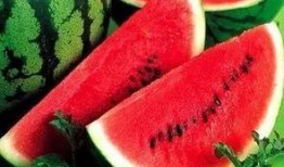 吃瓜人吃的什么瓜,揭秘吃瓜人钟爱的瓜种之谜