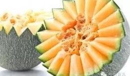 1岁儿童吃哈密瓜可以吗,一岁宝宝适宜食用哈密瓜的探讨